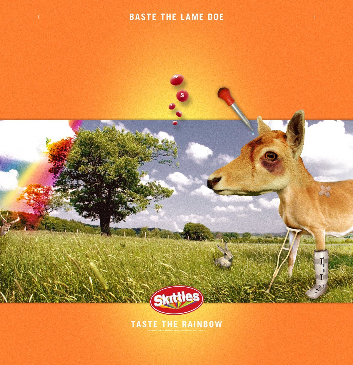 3_BASTE_THE_LAME_DOE.jpg