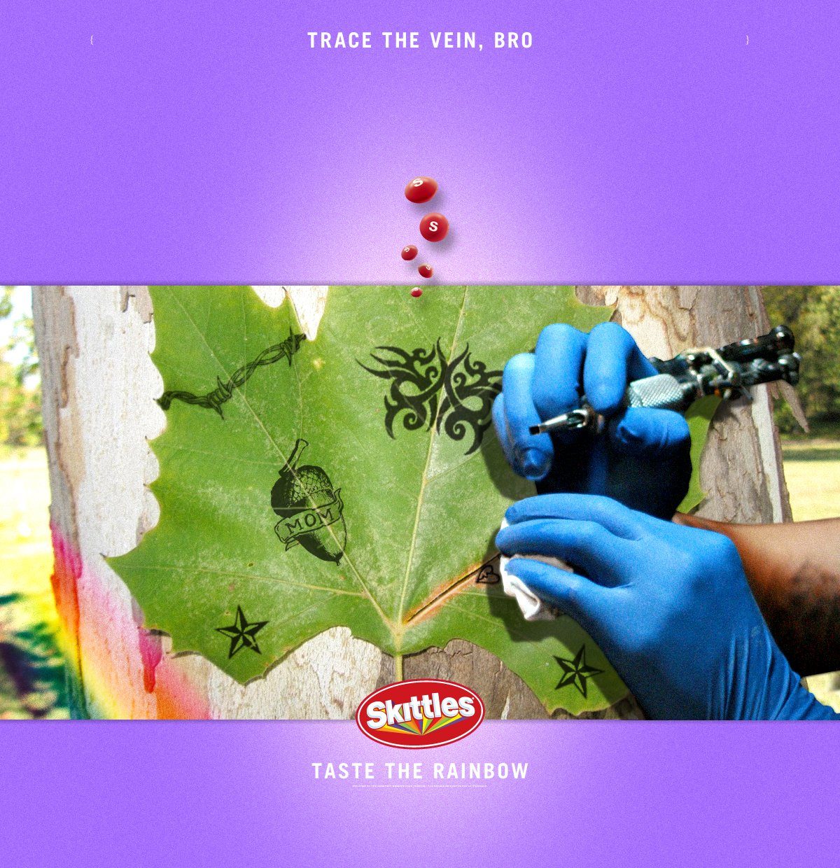 5_TRACE_THE_VEIN_BRO.jpg